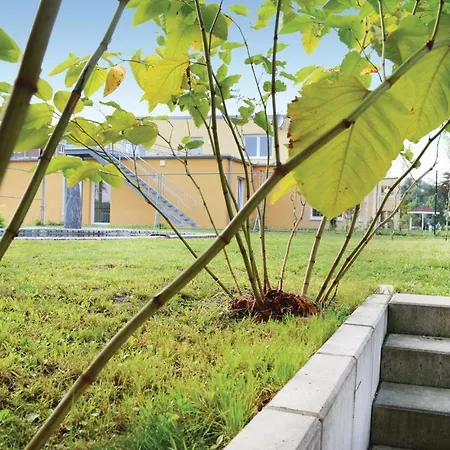 Σπίτι διακοπών Beautiful In Dessau-rolau With 3 Bedrooms, Sauna And Wifi Dessau-Rosslau